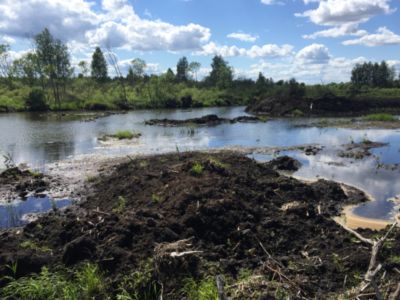 Купить торф Лобня